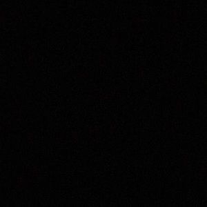 Meet your Posher, Troy